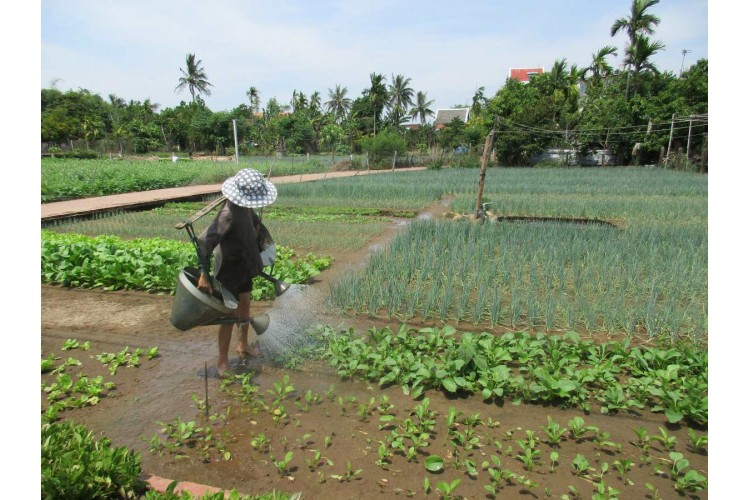 Découverte du Vietnam