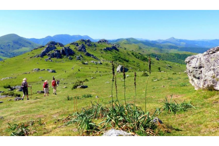 Rando au Pays basque et découverte de son terroir