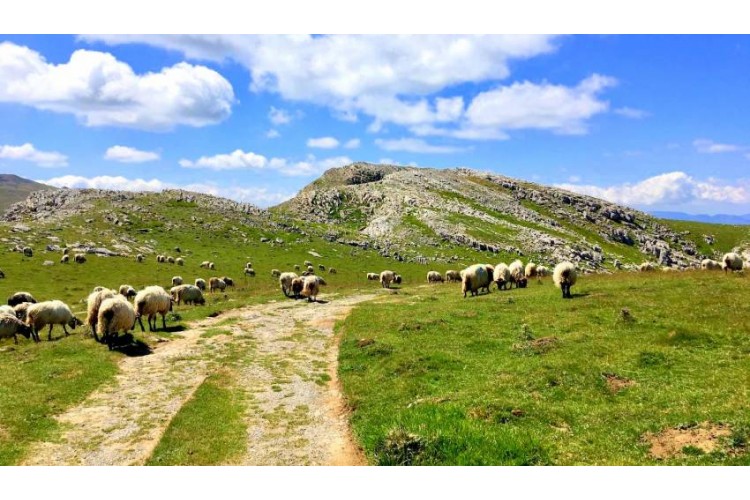 Rando au Pays basque et découverte de son terroir