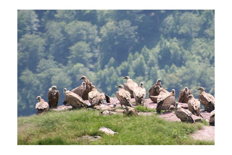 Rando au Pays basque et découverte de son terroir